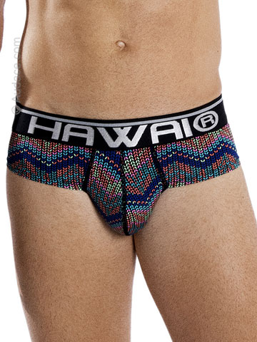 Hawaii Colorful Hip Briefs