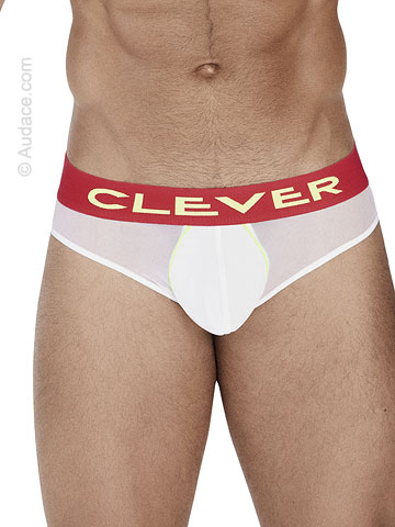 Clever Trend Briefs