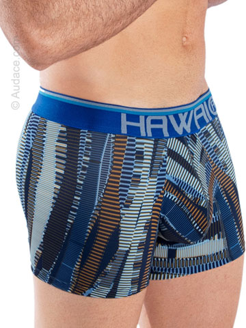 Hawaii Printed Athletic Trunks