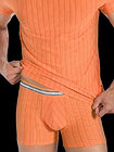Punto Blanco Boxer