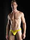 Joe Snyder Bikini