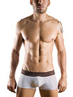 Clever Bali Latin Boxer