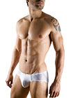 Clever Lust Brief