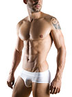 Clever Katmandu Latin Brief