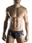 Clever Fire Bird Brief