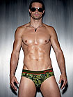 2(x)ist No-Show Brief