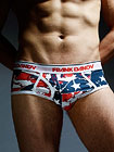 Frank Dandy Fullerton Brief