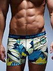 Frank Dandy Gold Coast Boxer