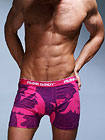Frank Dandy Manoir Boxer