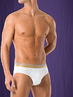 2(x)ist No Show Brief