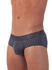 Mundo  Unico Brief Evolucion