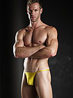 Joe Snyder Kini