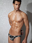 DOREANSE Tribal Brief