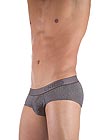 UNICO Mitosis Brief