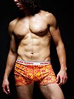 Frank Dandy Lyden Garden Boxer