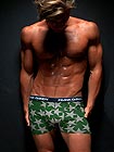 Frank Dandy Stars Boxer