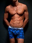 Frank Dandy Stars Boxer