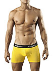 Pikante Hybrid Boxer