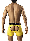 Pikante Hybrid Boxer