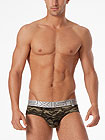 2(x)ist No-Show Brief