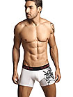 Clever Boxer Two Dragons