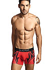 Clever Boxer Tribal