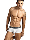Clever Advance Latin Boxer