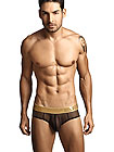Clever Desire Latin Brief