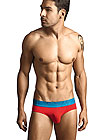Clever Nexus Latin Brief
