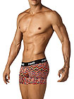 Pikante Kessia Boxer