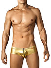 Pikante Spotlight Anatomic Brief