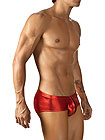 Pikante Spotlight Anatomic Brief