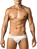 Pikante Matrix Brief