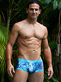 Modus Vivendi Trunk Stamps