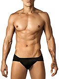 Pikante Matrix Brief