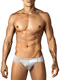 Pikante Matrix Brief