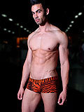 DOREANSE Tiger Trunk
