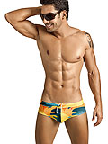 Clever Girl Swimsuit Brief