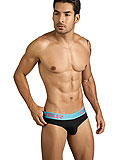 Clever Victoria Latin Brief