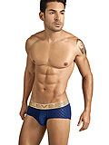 Clever Niagara Brief