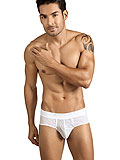Clever Feline Clasic Brief