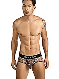 Clever Tribal Brief