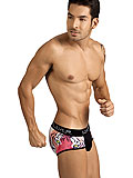 Clever Pop Tiger Piping Brief