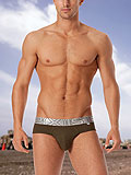 2(x)ist No-show Brief