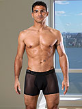 PPU Sexy Sheer Boxer