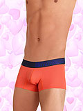 UNICO Trunk Planear