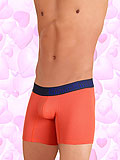 UNICO Boxer Planear