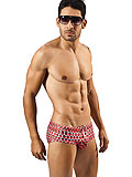 Clever Hormoz Swimsuit Brief