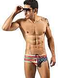 Clever Flag Swimsuit Brief