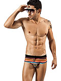 Clever Palau Swimsuit Brief